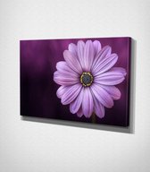 Pink Flower Canvas - 100 x 70 cm - Bloemen - Schilderij - Canvas - Slaapkamer - Wanddecoratie  - Slaapkamer - Foto op canvas