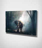 Elephant In The Forest Canvas | 80x120 cm