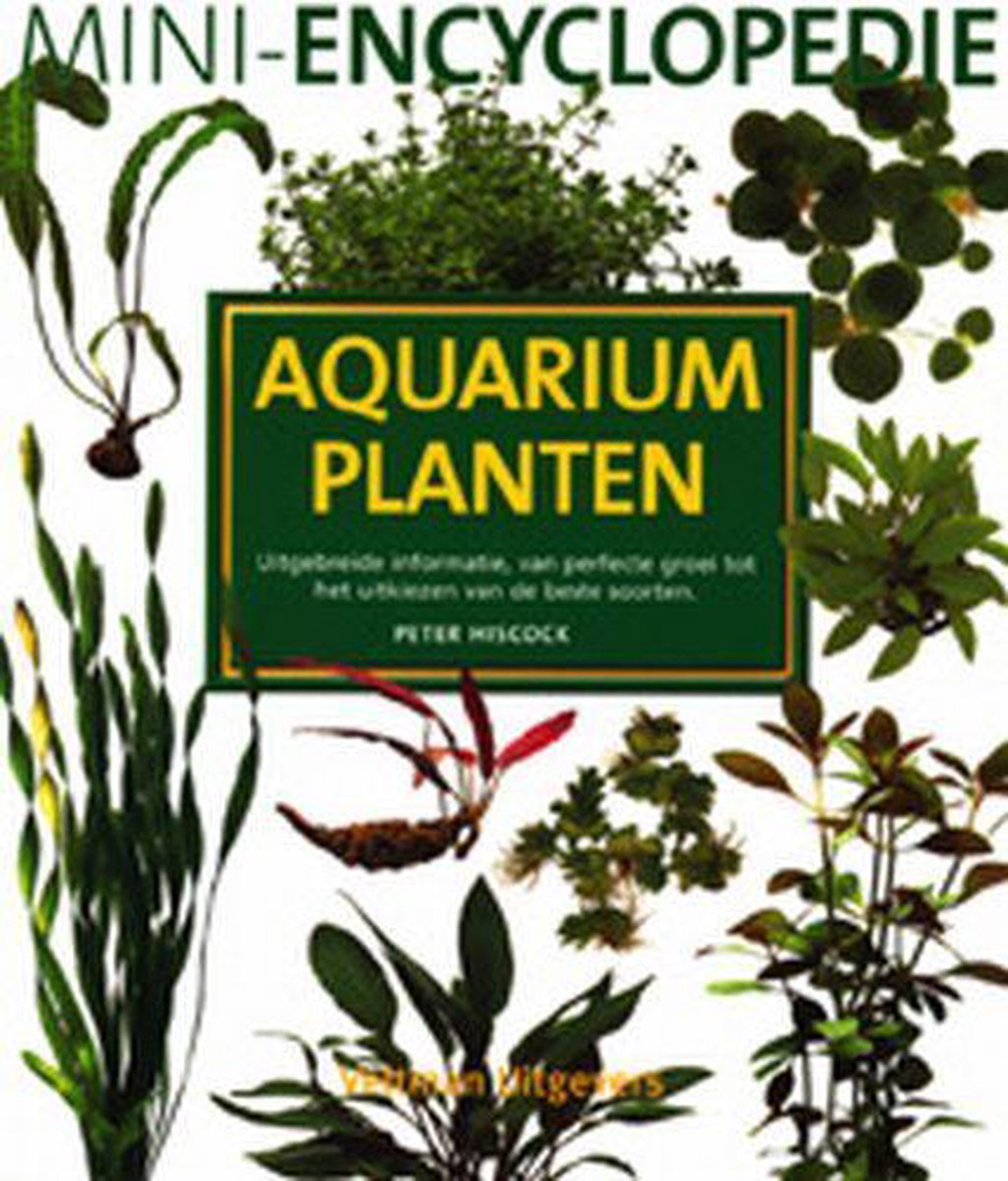 Herhaal Somber Smeltend Mini-encyclopedie aquariumplanten, P. Hiscock | 9789059203662 | Boeken |  bol.com