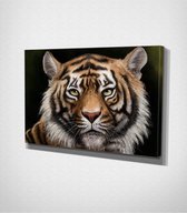 Tiger Canvas | 70x100 cm