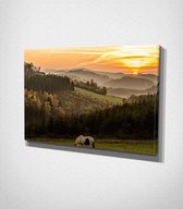 Horse In Field Canvas - 30 x 40 cm - Landschap - Schilderij - Canvas - Slaapkamer - Wanddecoratie  - Slaapkamer - Foto op canvas