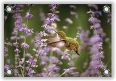 Tuinposter Kolibrie in Bloemenveld 60x40cm- Foto op Tuinposter (wanddecoratie voor buiten en binnen)