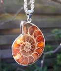Ketting met Ammoniet Ketting met Ammoniet