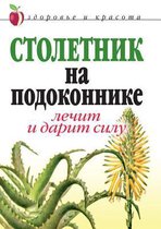 Столетник на подоконнике