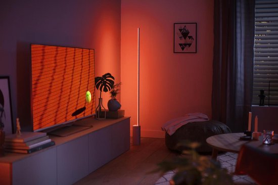 Philips Hue Signe vloerlamp - White and Color Ambiance | bol.com
