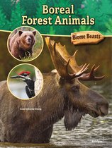 Biome Beasts - Boreal Forest Animals