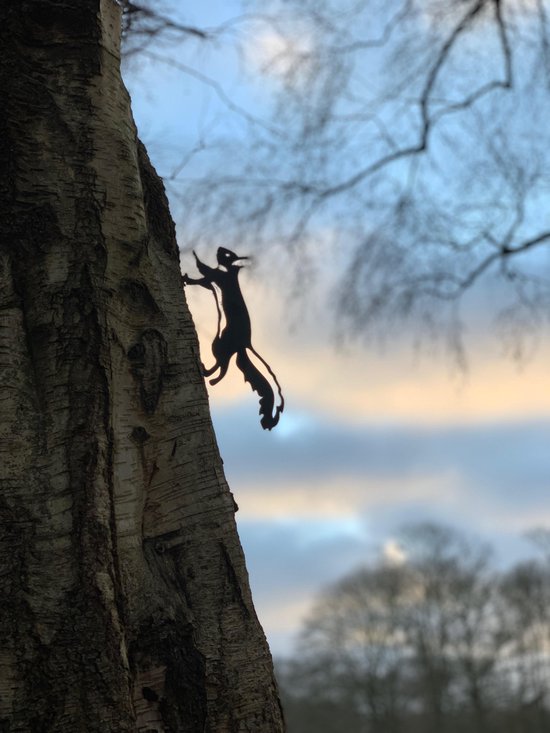 Escalade d'écureuil