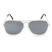 GADGERS BRAD Silver/Smoke Mirror Polarized