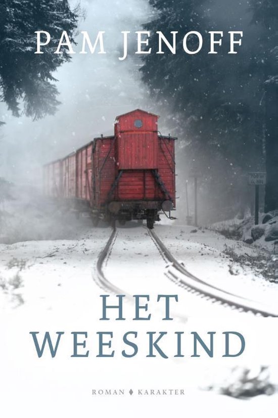 Het weeskind - cover