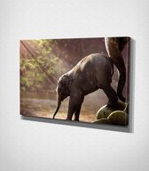 Elephants Canvas | 70x100 cm