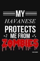 My Havanese Protects Me From Zombies 2020 Calender