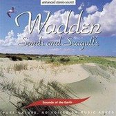 Wadden -Sounds And Seagul