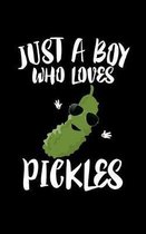 Just A Boy Who Loves Pickles