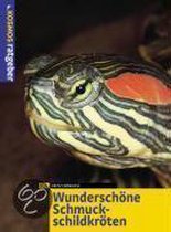 Wunderschöne Schmuckschildkröten