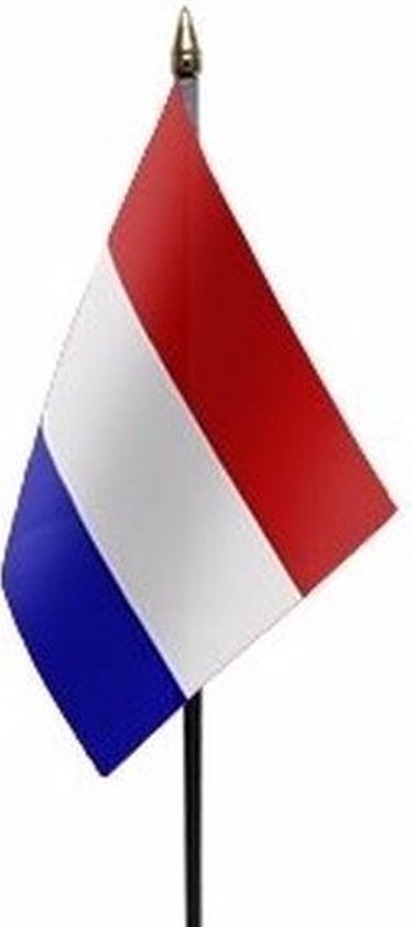 Vlaggetje - Nederland - op stok - 10 x 15 cm | bol.com