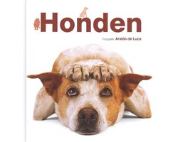 Honden