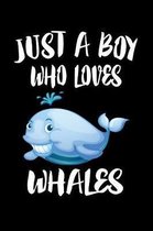 Just A Boy Who Loves Whales