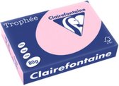 Clairefontaine Trophée gekleurd papier, A4, 80 g, 500 vel, lichtgrijs 5 stuks