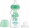 Dr. Brown's Options+ Anti-colic Bottle to Sippy starterkit BH - 270 ml - groen