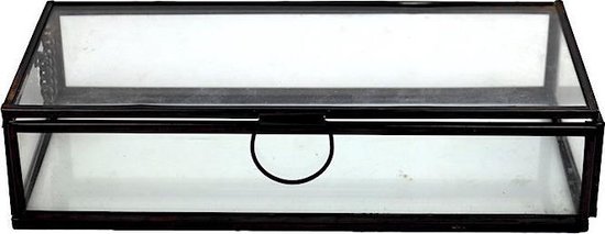 Rimpelingen Informeer Slechte factor Glazen box zwart - Sieradenkistje - Metaal en Glas - 22,5x9x4,5 cm -  Josephina | bol.com