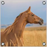Tuinposter –Bruin Paard– 50x50cmFoto op Tuinposter (Wanddecoratie voor buiten en binnen)