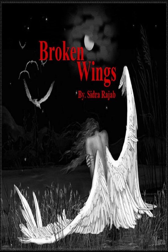 Sidra Rajab Broken Wings (ebook), Sidra Rajab | 9781393087892 | Boeken | bol.com