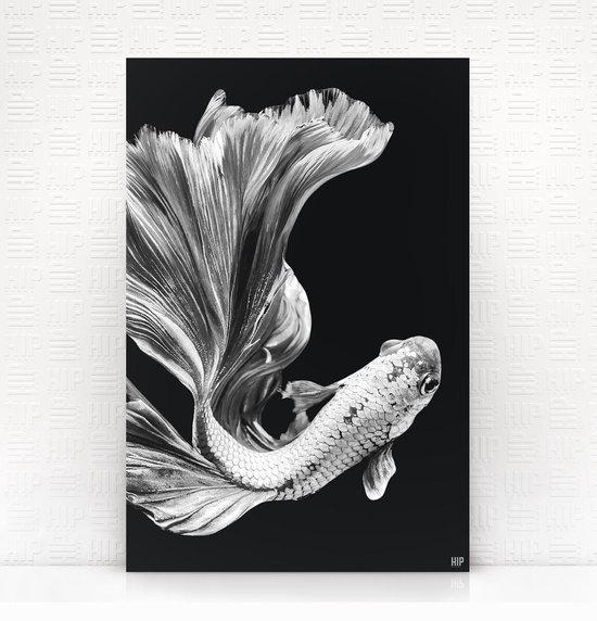 volume verhaal klink HIP ORGNL Schilderij Satin Fish – Karper vis - 40x60cm - Wanddecoratie  dieren - Zwart wit | bol.com