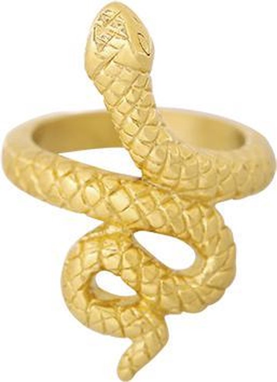 Ring flawless slang - goudkleurig | bol