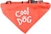 Bandana cool dog 22/35 cm 10 mm