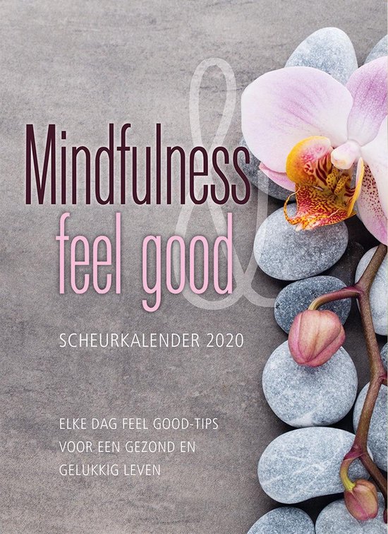 Wonderbaar bol.com | De Lantaarn scheurkalender 2020 - Mindfulness & feel good SG-24