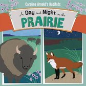 A Day and Night on the Prairie