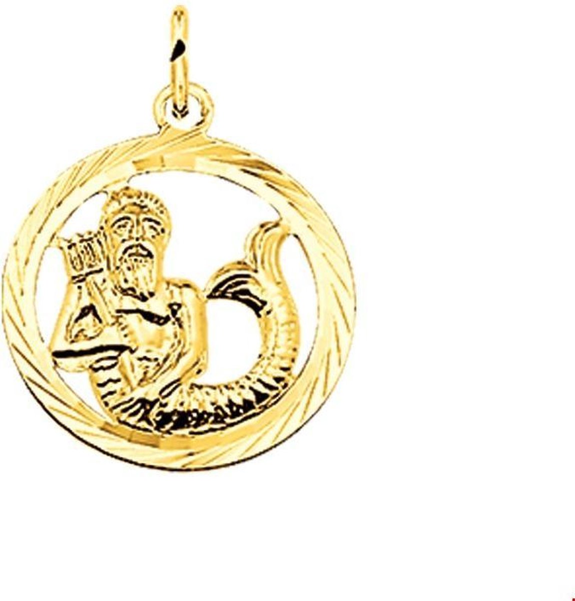 Geelgouden Hanger sterrenbeeld waterman gediamanteerd 4005634