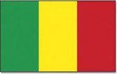 Vlag Mali 90 x 150 cm feestartikelen - Malinese /Mali landen thema supporter/fan decoratie artikelen