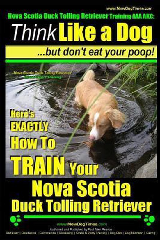 Nova Scotia Duck Tolling Retriever Training AAA Akc:- Nova Scotia Duck Tolling Retriever Training AAA AKC