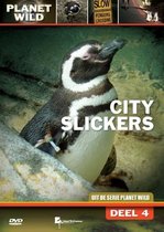 Special Interest - City Slickers