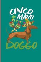 Cinco de Mayo Doggo
