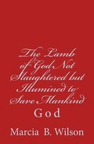 The Lamb of God Not Slaughtered But Illumined to Save Mankind