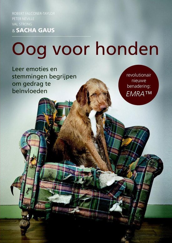 Foto: Oog voor honden