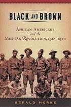 American History and Culture 9 - Black and Brown