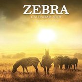 Zebra Calendar 2019