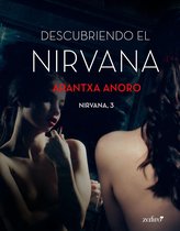 Nirvana - Descubriendo el Nirvana