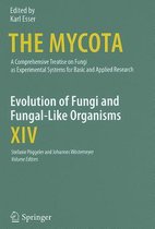Evolution of Fungi and Fungal Like Organisms