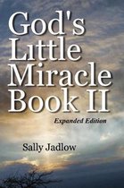 God's Little Miracle Book II