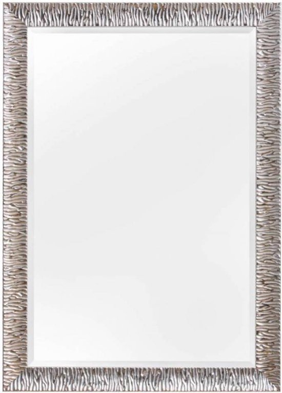 Moderne Spiegel 70x100 cm Zilver - Reese