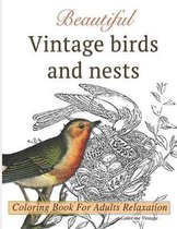 Beautiful vintage birds and nests