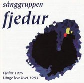 Fjedur - Fjedur (LP)