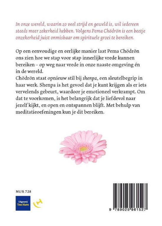 Roze gerbera bloem met tekst over Pema Chödrön.