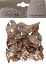Puntige decoratie schelpen Strombus Urceum 4 cm - Natuurlijke schelpjes in zakje - Maritiem/strand thema woondecoratie