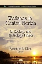 Wetlands in Central Florida