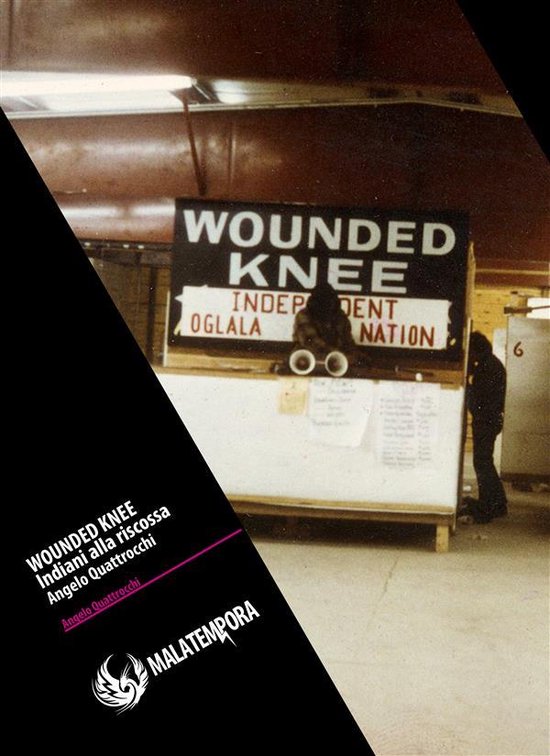 Angelo Quattrocchi Wounded Knee Gli indiani alla riscossa (ebook